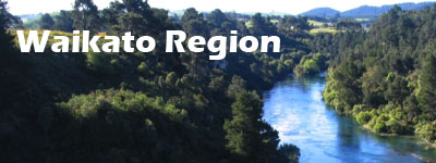 Waikato